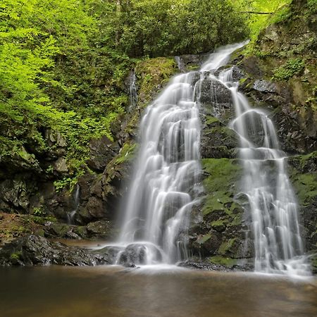 River Song, Near River, Hot Tub, Foosball, Wifi 1089 Free Tickets Each Paid Day, Dollywood And More Севьервилл Экстерьер фото