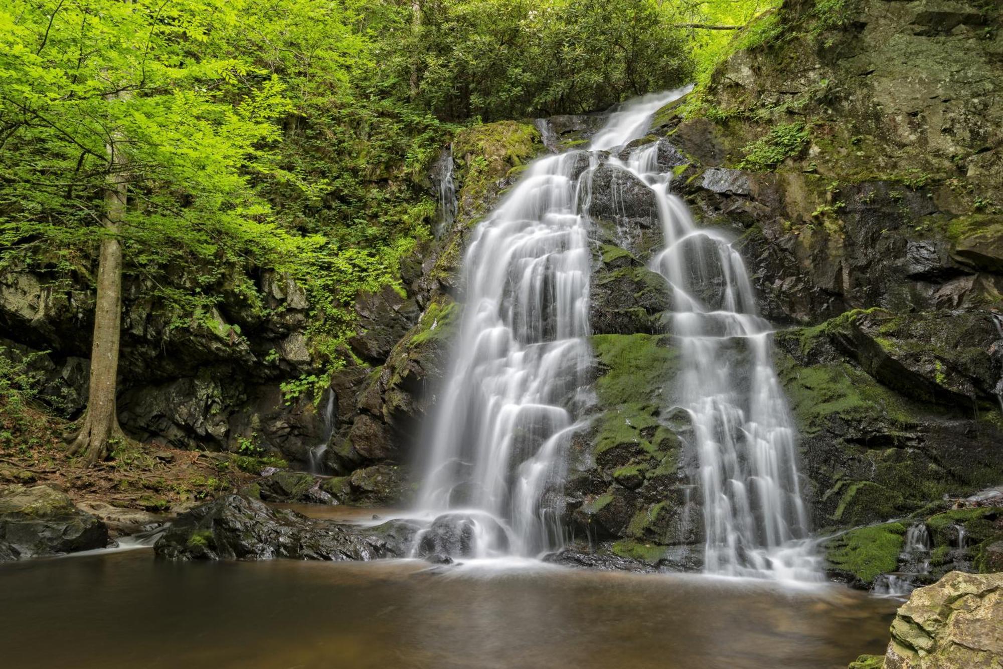 River Song, Near River, Hot Tub, Foosball, Wifi 1089 Free Tickets Each Paid Day, Dollywood And More Севьервилл Экстерьер фото